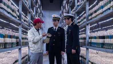 星河生物40%食用菌出口海外