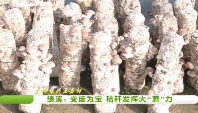 安徽绩溪县：变废为宝，秸秆发挥大“蘑”力