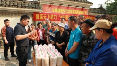 菌蓝天下：免费为农民发放5000个食用菌包