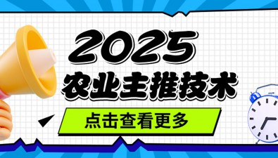 2025年各省农业主导品种和主推技术，含“菌”量有多少？