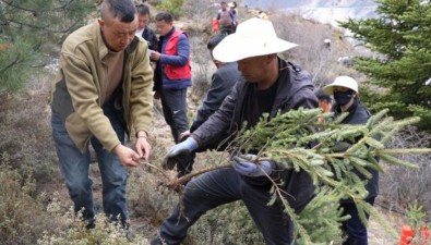計劃投資816.20萬元，四川道孚縣“紅菌產業培育項目”啟動