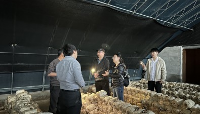北京市食用菌创新团队赴房山区开展调研与应急服务