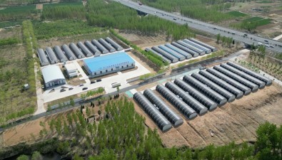 山东曲阜：香菇智慧种植激活传统农业新动能