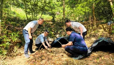 广东丰顺县九龙（上窝）灵芝种植试验园完成菌包铺排