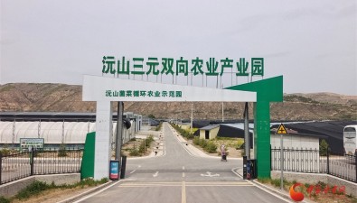 甘肃镇原：菌菜轮作，一棚双收“钱“景广