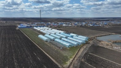 黑龙江北安市海星镇木耳菌棒生金链