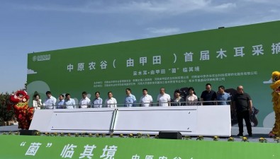 “菌”韵悠长！中原农谷韩董庄镇（由甲田）首届木耳采摘节开幕
