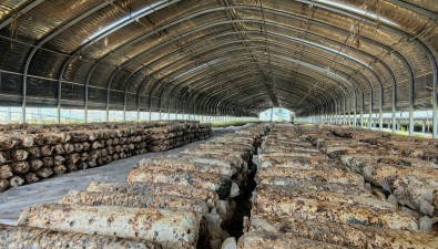 郝哲：扎根黃土地30年，推行農技推廣新模式