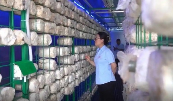 德州一空调企业竟曾“跨界