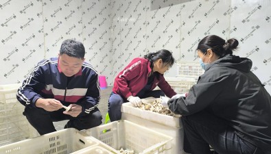 李吉胤：90后返鄉(xiāng)創(chuàng)業(yè)智能方艙種菌菇，實現(xiàn)產值3900萬元