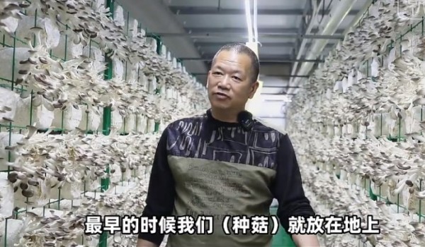 温岭这栋“蘑菇楼”，亩产