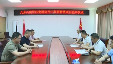 總投資5000萬元，食用菌及中草藥種植項目簽約落地