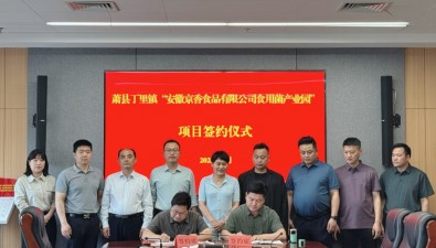 亿元项目启新程！安徽萧县丁里镇食用菌产业园项目签约
