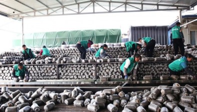 贵州威易食用菌种植有限公司建成380余个大棚