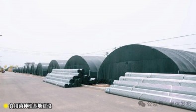 甘肃崇信县食用菌种植基地建设按下“快进键”