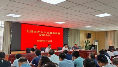 安徽金寨县：灵芝全产业链高质量发展这样做