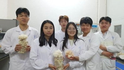 湘西首例！吉首大学“湘仲蘑菇”获省级创业基金30万元