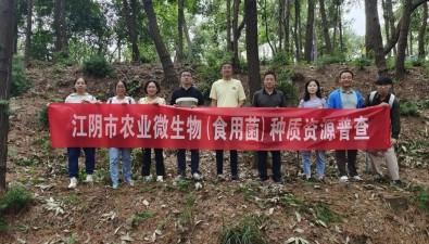江阴市首次农业微生物（食用菌）种质资源普查收官