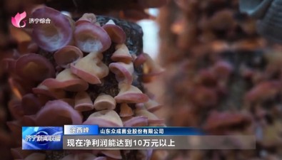 山东梁山：产学研合作，促进木耳产业提质增效