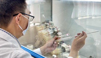 通江银耳（食用菌）产业发展中心累计培育出20余个新菌株