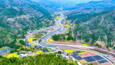 工行助力四川通江银耳全产业链发展