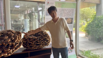 华大灵芝庄园：实现珍稀食用菌工厂化生产