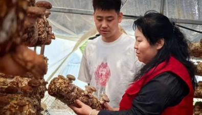 河北平泉：食用菌专家下乡送技术