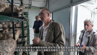 西班牙考察团探秘庆元香菇产业