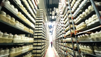 贵州玉屏：一座无土农场，日产鲜菇36万斤