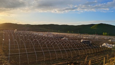 投资5300万元，吉林图们凉水镇灵芝产业园项目建设加速