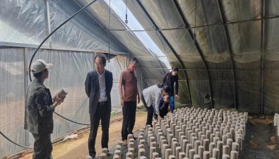 《甘南州黑木耳产业关键技术升级与示范》项目开题实施