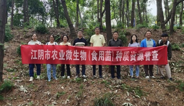 江阴市首次农业微生物（食用菌）种质资源普查收官