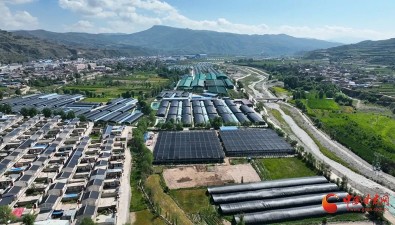 甘肃漳县：构建食用菌全产业链发展格局