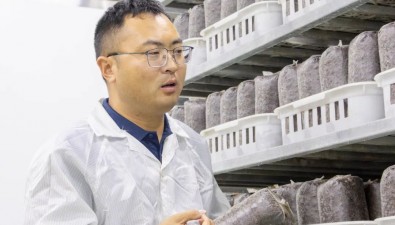 赵伟伟：让菇农不再望“棒”兴叹
