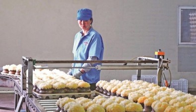 福建尤溪：种植食用菌4.1亿袋
