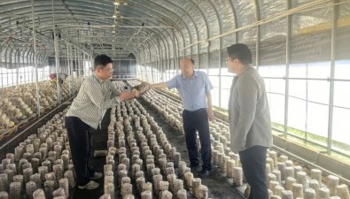 安徽肥西食用菌科技小院