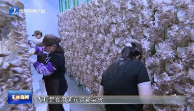 广西陆川县：一季度食用菌产量增速441.14%