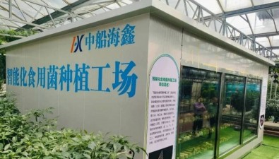 食用菌智慧云舱| 小蘑菇撬动“未来农场”新生态，产量提升5倍