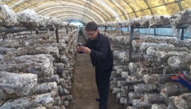 张新雨：“00后”菌菇网红解锁农业发展流量密码