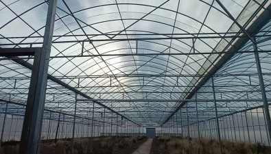 甘肃平凉崆峒区安国村：投资240万元，食用菌项目加速推进