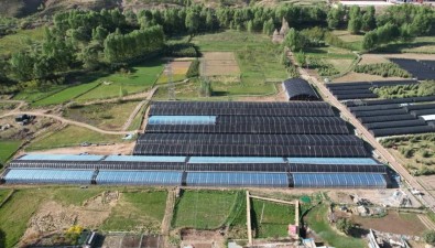 甘肃肃南桦树湾村：新建5座钢架暖棚种羊肚菌