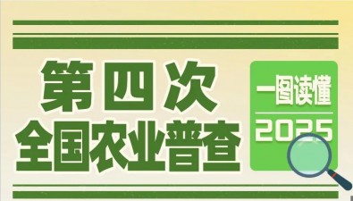 一图读懂丨第四次全国农业普查