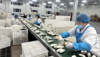 吉林益隆长白山实业：实现食用菌产值4亿多元