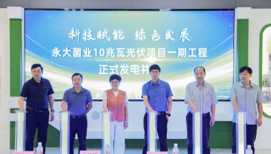永大菌业10兆瓦光伏项目一期完工实现并网