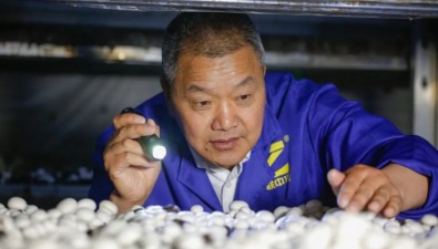陈林根：实现“蘑菇梦想”