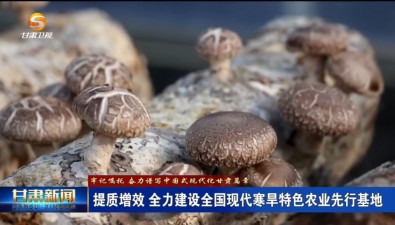 甘肃庆阳西峰区：以园区为中心种食用菌，辐射周边村产业联动