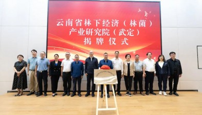 云南首家林下经济（林菌）产业研究院落户武定