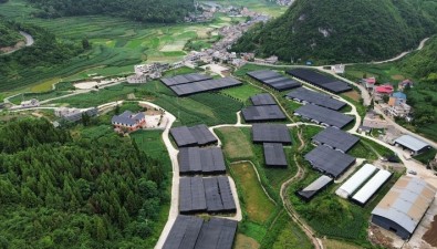 贵州开阳高寨乡探索食用菌多元化发展路径