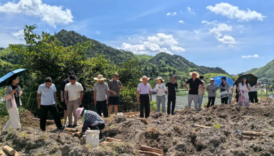 福建政和县举办食药用菌栽培技术培训与现场观摩会