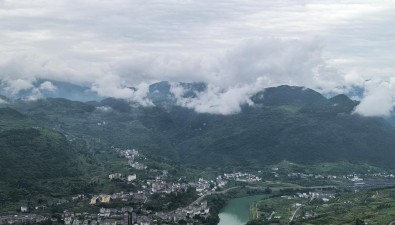 贵州道真河西村：发展食用菌产业，实现产值510万元